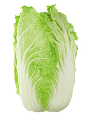 Chinese Cabbage (Wombok)