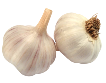 Garlic (Bawang)
