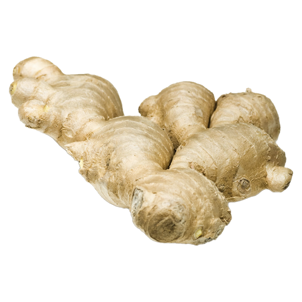 Ginger (Luya)