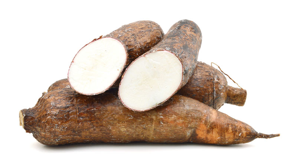 Kamoteng Kahoy (Cassava)