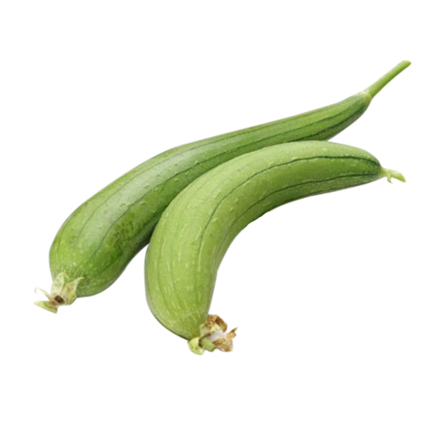 Patola