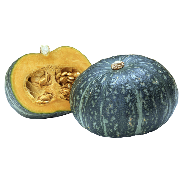 Squash (Kalabasa)