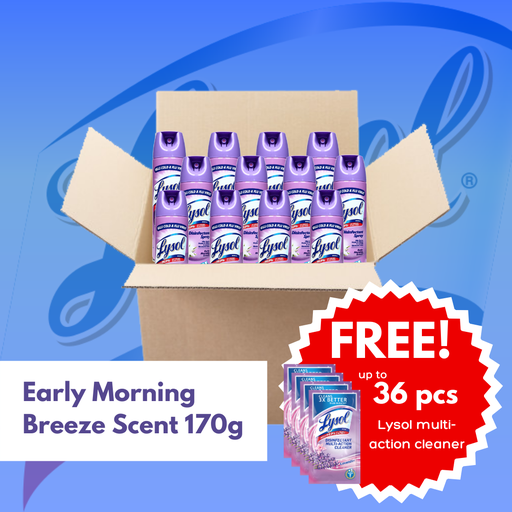 [Lysol Big Box: Early Morning Breeze Disinfectant Spray (170g)] Lysol Big Box: Early Morning Breeze Disinfectant Spray (170g)