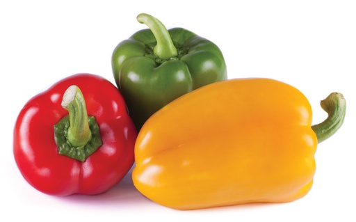 [Bell Pepper (Tripi)] Bell Pepper