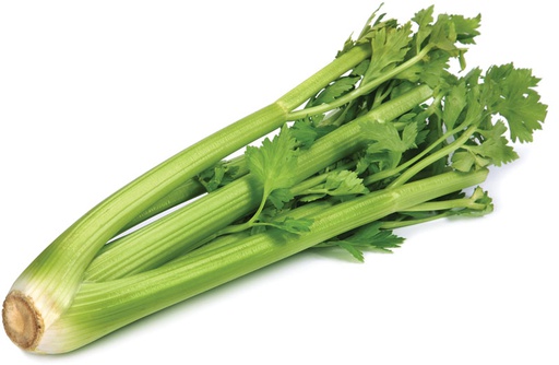 [Celery (Tripi)] Celery