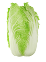 Chinese Cabbage (Wombok)