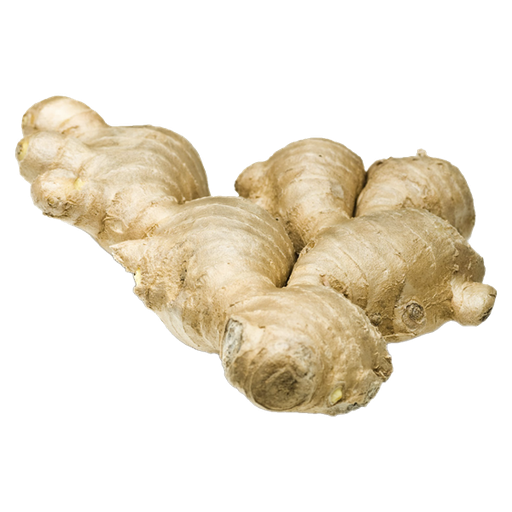[Ginger (Luya) (Tripi)] Ginger (Luya)