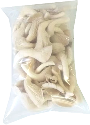[Mushroom (Oyster) (Tripi)] Mushroom (Oyster)