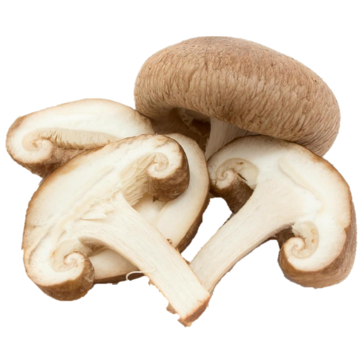 [Mushroom (Shiitake) (Tripi)] Mushroom (Shiitake)