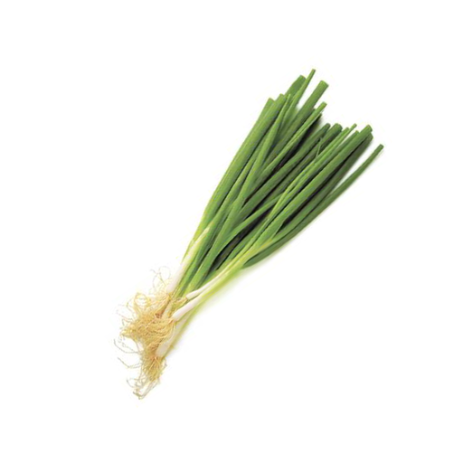 [Onion Leeks (Tripi)] Onion Leeks
