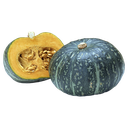 Squash (Kalabasa)