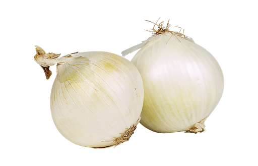 [White Onion (Tripi)] White Onion